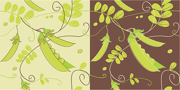 natural background with peas vector art illustration