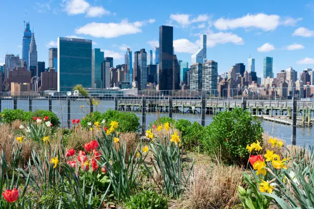 Colorful plants and flowers at Gantry Plaza State Park in Long Island City Queens along the East River during spring with a view of the Manhattan skyline in New York City