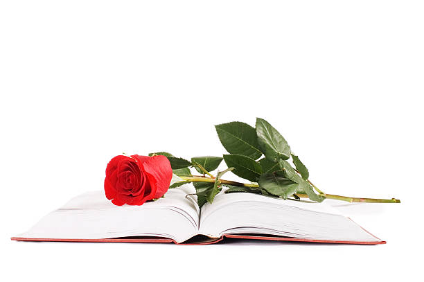 istock Beautiful red rose on the book 123349023