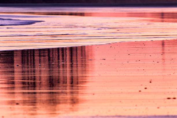 istock Vancouver Island British Columbia 1233502124