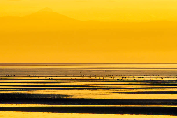 istock Vancouver Island British Columbia 1233507174