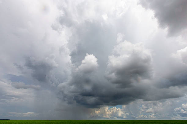istock Storm rain clouds over crop field 1233511230