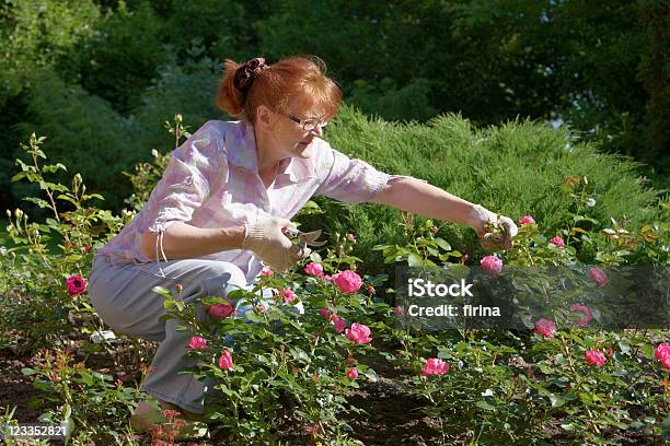 Photo libre de droit de Rose Avant banque d'images et plus d'images libres de droit de Rose - Fleur - Rose - Fleur, Femmes seniors, Jardiner