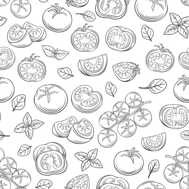bezszwowy wzór ręcznie rysowany pomidor - 4719 stock illustrations