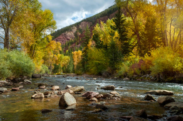 istock Leopard Creek Near Noel Colorado 1233537605