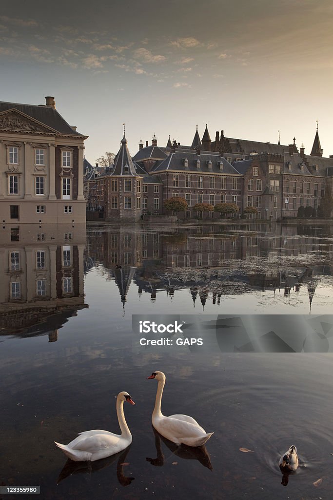 The Hague's parliament buildings two white swans and a duck in the water in front of the Dutch parliament buildings and the famous Mauritshuis museum; The Hague, Netherlands Architecture Stock Photo