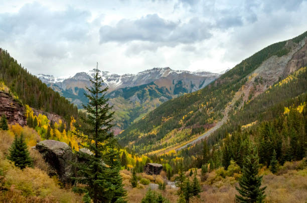 istock Telluride Colorado Bear Creek Trail 1233564123