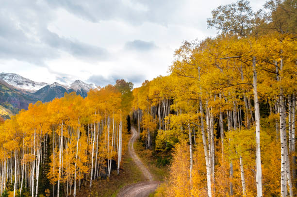 Horizontal photograph of the mountains of Telluride Colorado. The rich autumn colors are illustrated with the changing foliage. A small dirt road cuts through the aspen trees.