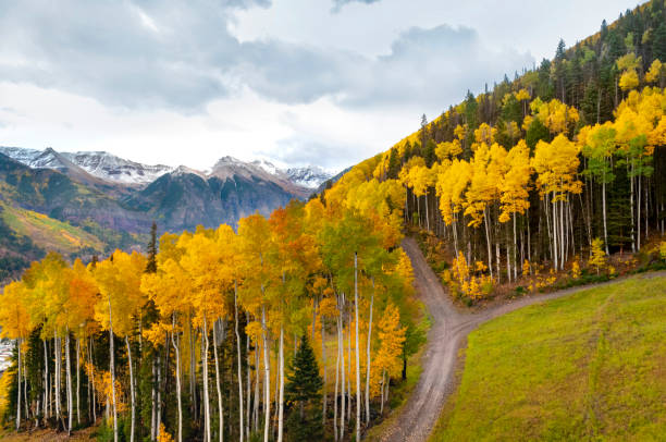 Telluride Colorado in Autumn Horizontal photograph of the mountains of Telluride Colorado. The rich autumn colors are illustrated with the changing foliage. A small dirt road cuts through the aspen trees. aspen tree stock pictures, royalty-free photos & images
