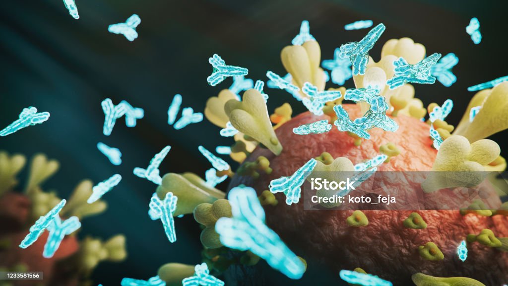 Abs COVID-19 antibody Abs COVID-19 antibody - 3d rendered image structure view on black background. 
Viral Infection concept. MERS-CoV, SARS-CoV, ТОРС, 2019-nCoV, Wuhan Coronavirus.
Antibody, Antigen, Vaccine concept. Antibody Stock Photo