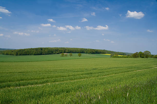 istock Spring [url=http://www.istockphoto.com/file_search.php?action=file&lightboxID=8693888&refnum=kerkla]Lightbox[/url] 123360545