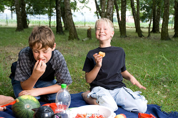 istock Family Picnic 123361133