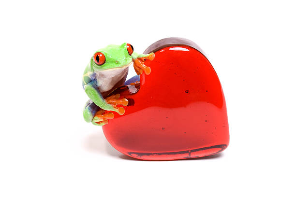 istock Frog on heart of glass 123362222
