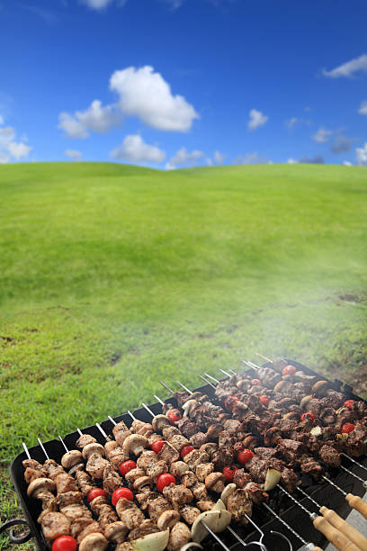 barbacoa en verde paisaje - vertical meadow mushroom vegetable fotografías e imágenes de stock