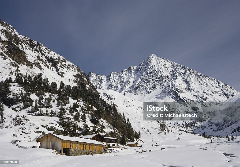 Paesaggio di montagna In inverno - Foto stock royalty-free di Albero