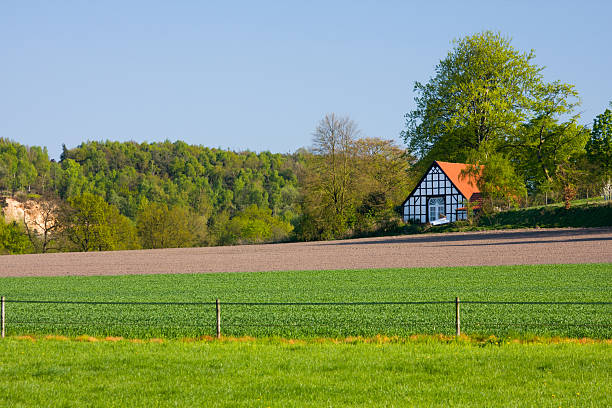 casa no idílico paisagem - ibbenbüren imagens e fotografias de stock