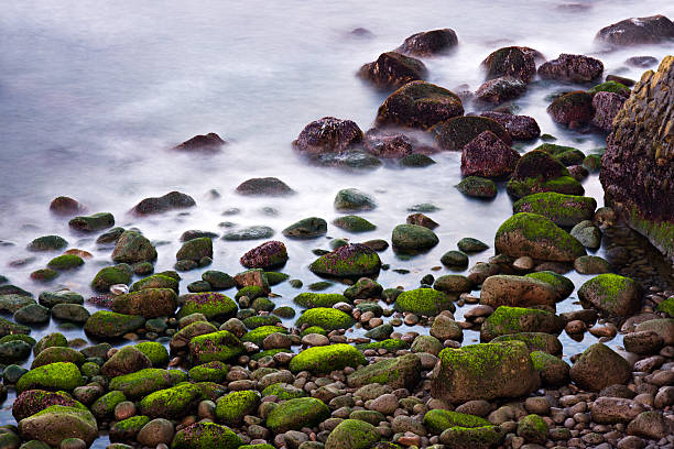 Stones in the surf covered with moss and algae. Long exposure shot taken near Arnarstapi, Iceland.