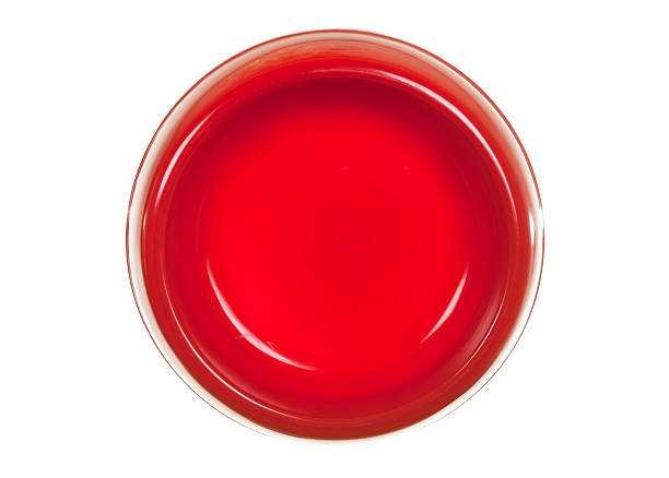 istock Bowl for Cat Food View from Above 123377386