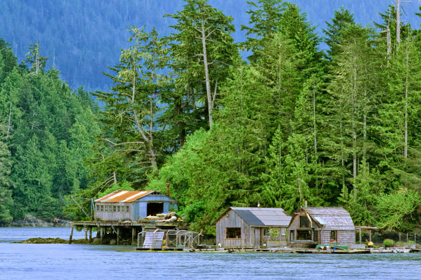 istock Vancouver Island British Columbia 1233774604