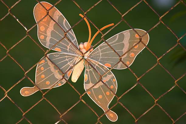 istock Orange butterfly on a rusted fence 123377534