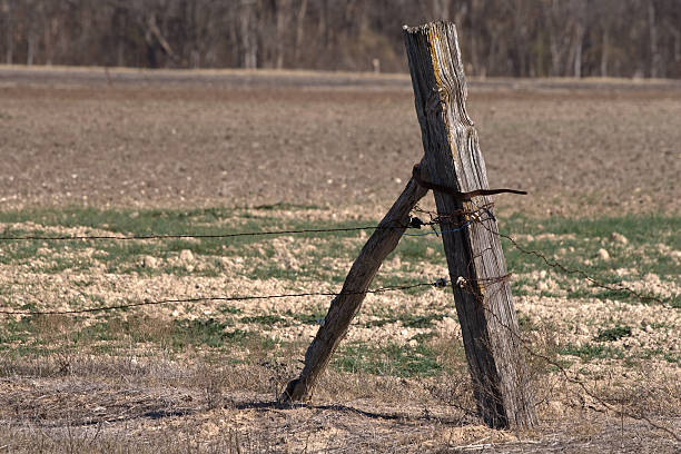 istock Old fence post in a field 123377546