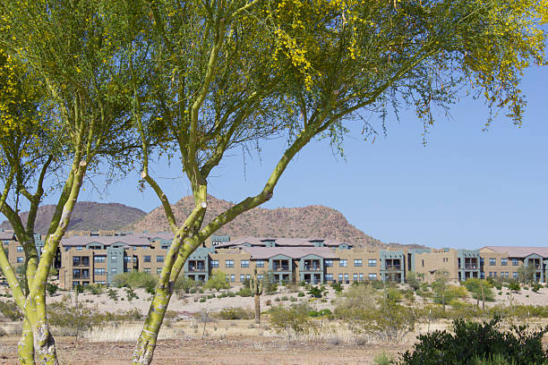 Apartments in desert mountains “under tree”; Phoenix, Arizona