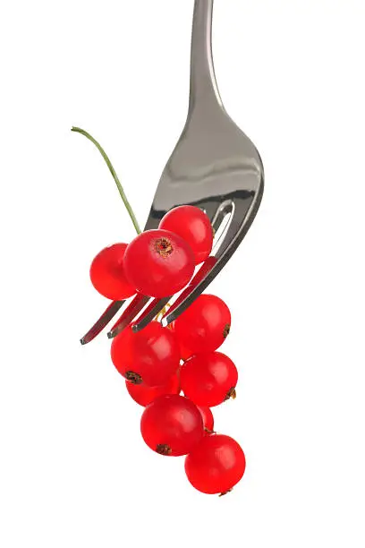 Freshly picked redcurrants isolated on a white background and served on a fork.