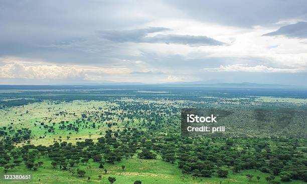 Foto de Ao Redor De Bwindi Impenetrável Floresta Em Uganda e mais fotos de stock de Vista Aérea - Vista Aérea, Planície, África