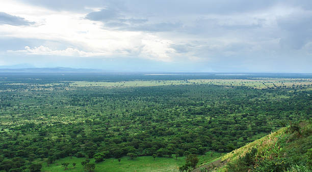 istock around Bwindi Impenetrable Forest in Africa 123380657