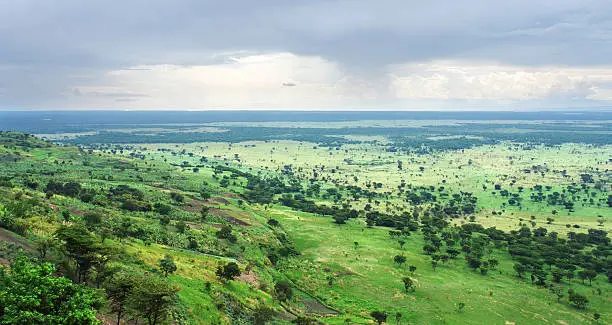 aerial view around the Bwindi Impenetrable Forest in Uganda (Africa) in clouded rainy ambiance