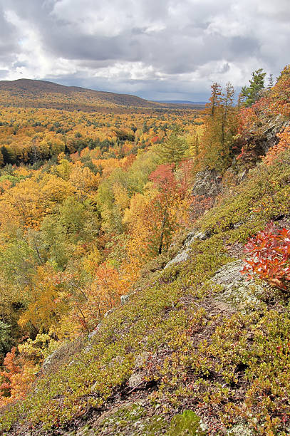 istock Porcupine Mountains 123383853