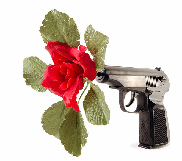 the weapon with a rose stock photo