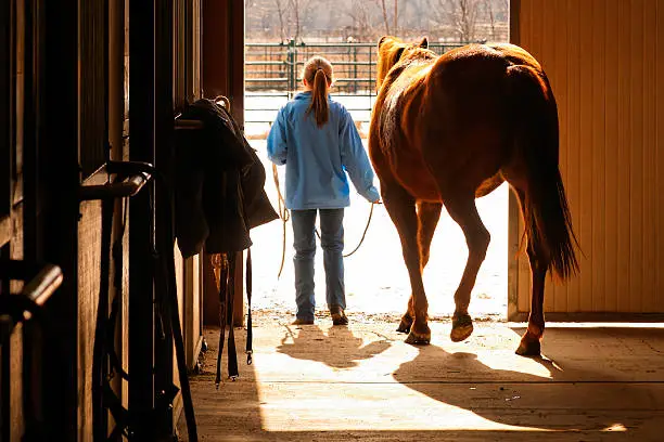 Rachel takes Foxy out of the barn for a walk on a snow covered winter's afternoon.