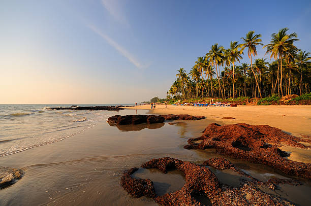 morjim beach, goa, indien - goa stock-fotos und bilder