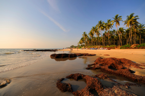 A wide angle view of Morjim Beach in Goa, India. XL image size.