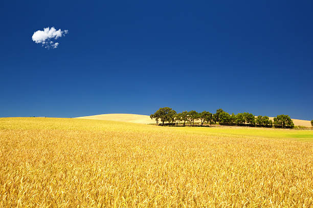 Beautiful Day stock photo