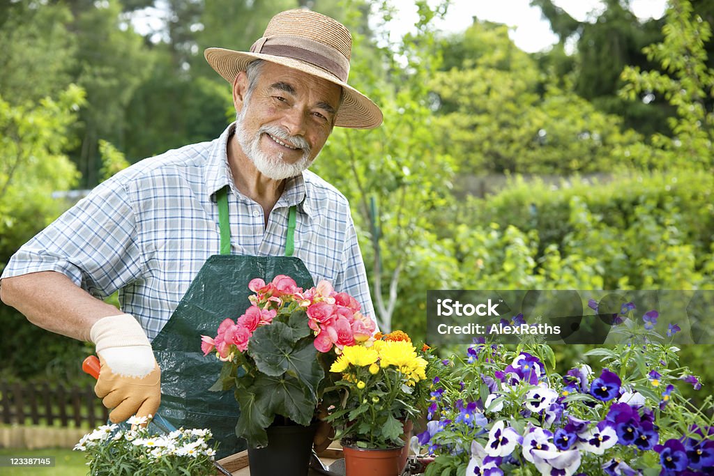 Uomo anziano giardinaggio - Foto stock royalty-free di Giardino domestico