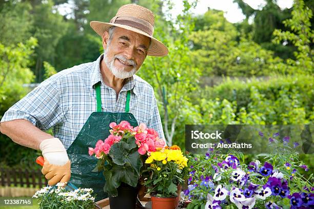 Uomo Anziano Giardinaggio - Fotografie stock e altre immagini di Giardino domestico - Giardino domestico, Uomini anziani, Terza età