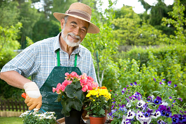 istock Senior man gardening 123387145