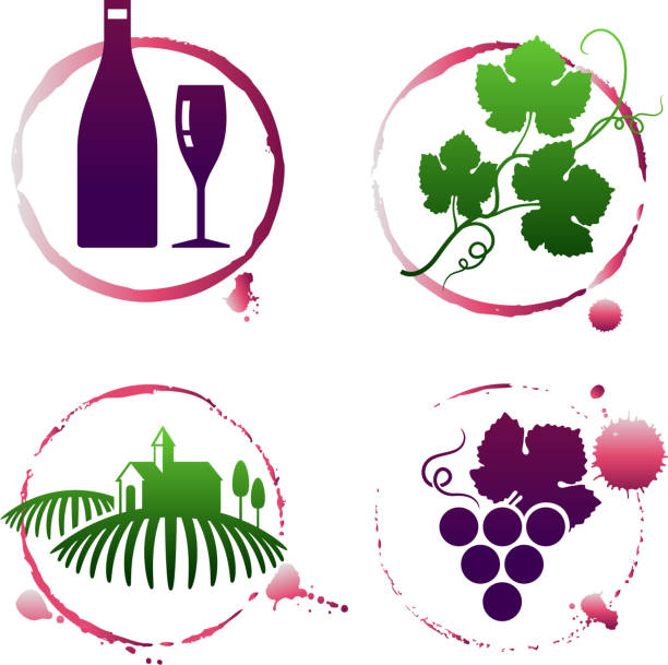 vineyard und wein-set - wine champagne bottle mulled wine stock-grafiken, -clipart, -cartoons und -symbole