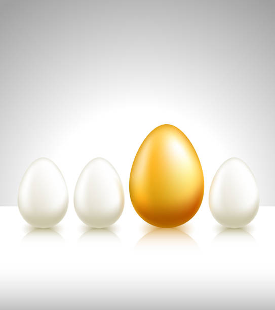 illustrazioni stock, clip art, cartoni animati e icone di tendenza di uovo d'oro tra regolare uova - eggs animal egg gold light