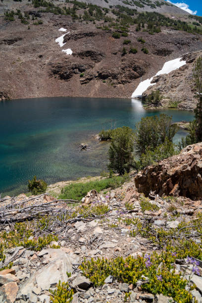 beautiful view of the 20 lakes basin in californias eastern sierra nevada. valley with lake and cliffs along the trail - saddlebag imagens e fotografias de stock