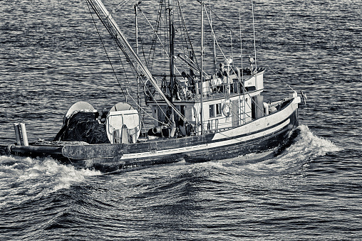 Fishing trawler off of Vancouver Island, British Columbia