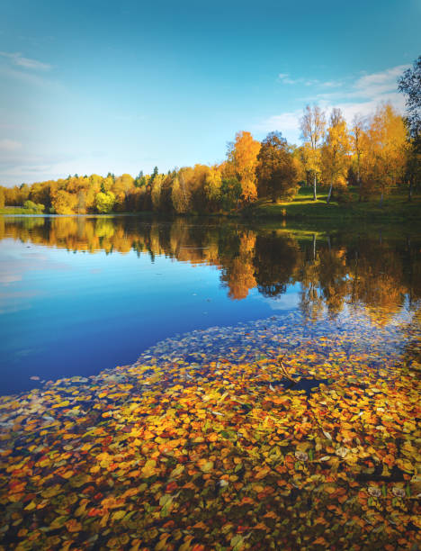 Beautiful reflection on water surface