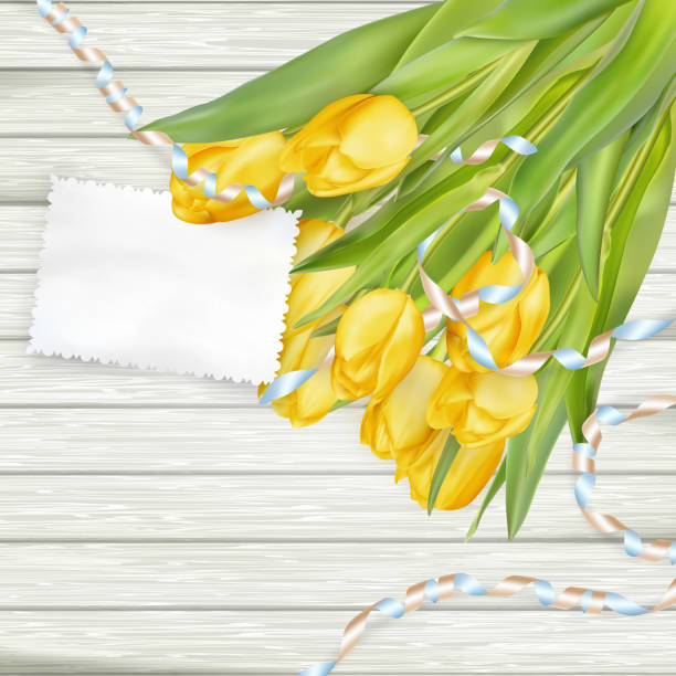 papierowa karta z tulipanami. eps 10 - attached backgrounds blank plank stock illustrations