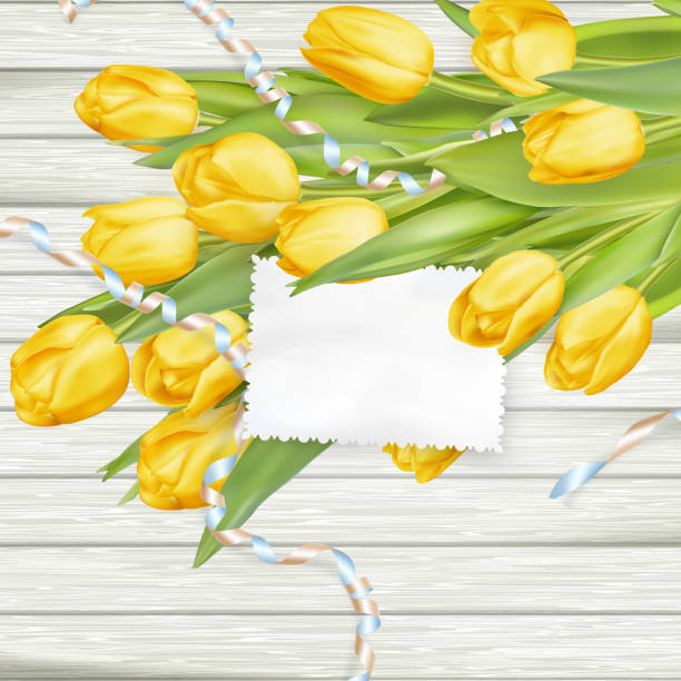papierowa karta z tulipanami. eps 10 - attached backgrounds blank plank stock illustrations
