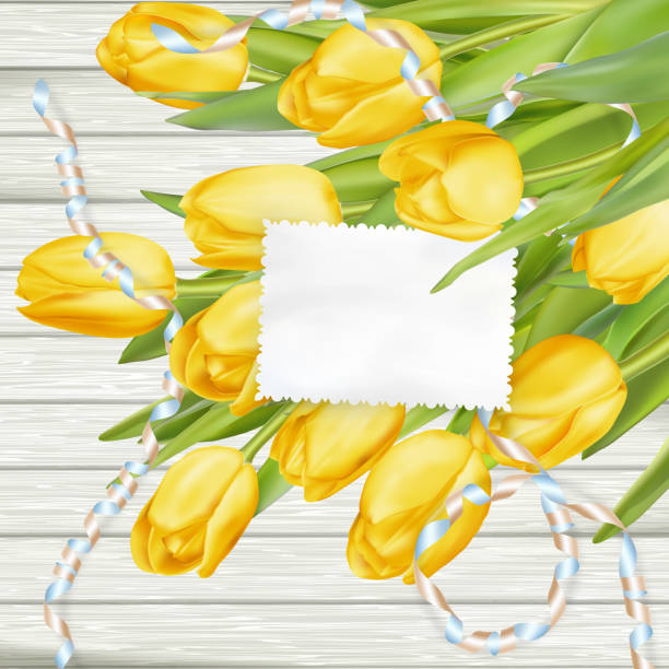 papierowa karta z tulipanami. eps 10 - attached backgrounds blank plank stock illustrations