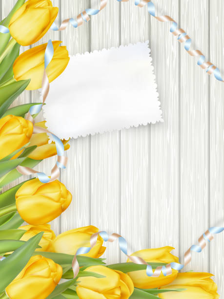 papierowa karta z tulipanami. eps 10 - attached backgrounds blank plank stock illustrations