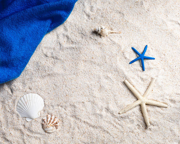 istock Sea concept background decorated with seashell starfish sand border frame 1234269272