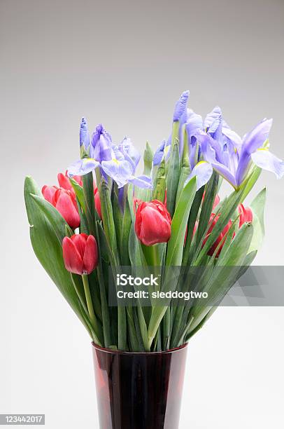 Spring Bouquet Stock Photo - Download Image Now - Blue, Bouquet, Color Image